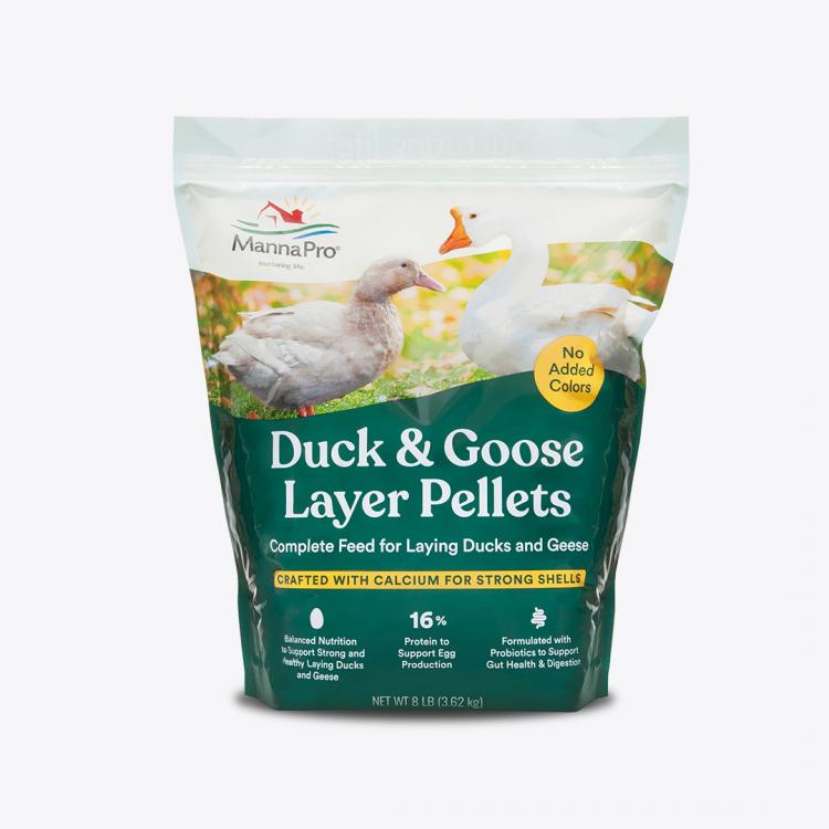 Ultimate Guide to Raising Pet Ducks Flock Party Manna Pro